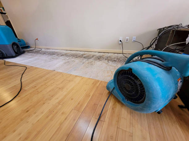 Professional Structural Drying technician working in Aurora, SD